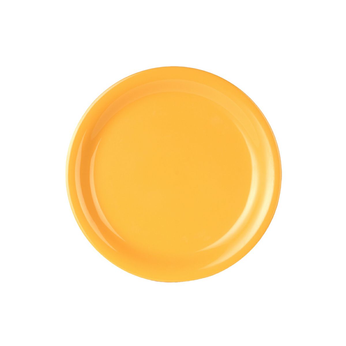 Thunder Group リムプレート 直径23.2cm 丈夫な業務用 メラミン食器 中